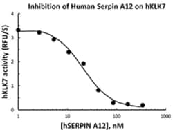Biolegend Recombinant Human Serpin A12 (Vaspin) (carrier-free), Quantity: