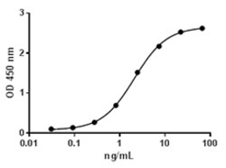 Biolegend Recombinant Human Glypican-1 (carrier-free), Quantity: Each of