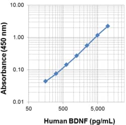Biolegend Recombinant Human BDNF (ELISA Std.), Quantity: Pack of 1