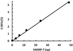 Biolegend Recombinant Human MMP-7 (carrier-free), Quantity: Each of 1