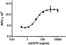 Biolegend Recombinant Mouse CNTF (carrier-free), Quantity: Each of 1