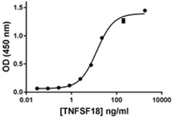Biolegend Recombinant Human GITR (TNFRSF18) Fc Chimera (carrier-free),