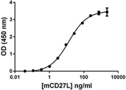 Biolegend Recombinant Mouse CD27 (TNFRSF7)-Fc Chimera (carrier-free), Quantity: