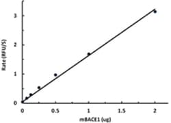 Biolegend Recombinant Mouse BACE1 (Beta-Secretase 1) (carrier-free), Quantity: