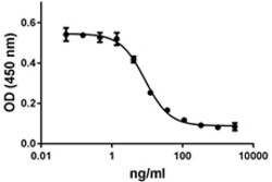 Biolegend Recombinant Human IL-22RA2 (IL-22BP) Fc Chimera (carrier-free),