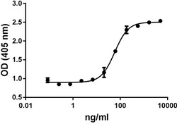 Biolegend Recombinant Human/Mouse/Rat BMP-2 (carrier-free), Quantity: Each