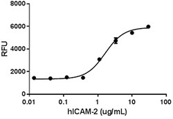 Biolegend Recombinant Human ICAM-2 (carrier-free), Quantity: Each of 1