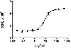 Biolegend Recombinant Mouse TNFRSF10B (TRAIL R2)-Fc Chimera CF, Quantity: