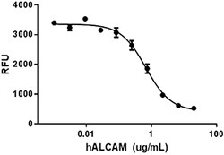 Biolegend Recombinant Human ALCAM/CD166 (carrier-free), Quantity: Each