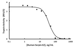 Biolegend Recombinant Human Serpin E2 (carrier-free), Quantity: Each of