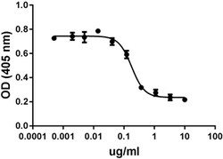 Biolegend Recombinant Mouse BMPR1A/ALK-3-Fc Chimera (carrier-free), Quantity: