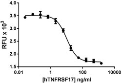 Biolegend Recombinant Human TNFRSF17-Fc Chimera (carrier-free), Quantity: