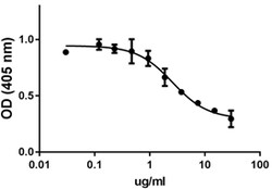 Biolegend Recombinant Human BMPR1B/ALK-6-Fc Chimera (carrier-free), Quantity: