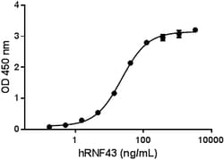 Biolegend Recombinant Human RNF43-Fc Chimera (carrier-free), Quantity: