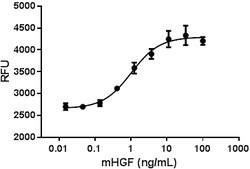 Biolegend Recombinant Mouse HGF (carrier-free), Quantity: Each of 1