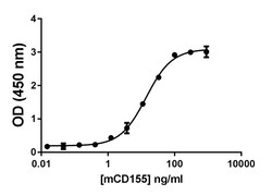 Biolegend Recombinant Mouse TIGIT-Fc Chimera (carrier-free), Quantity: