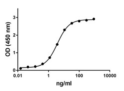 Biolegend Recombinant Human TNFRSF9 (4-1BB)-Fc Chimera (carrier-free),