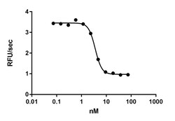 Biolegend Recombinant Human Cystatin D (carrier-free), Quantity: Each of