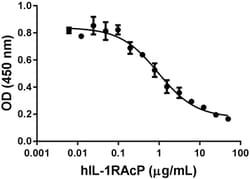 Biolegend Recombinant Human IL-1RAcP (IL-1R3)-Fc Chimera (carrier-free),