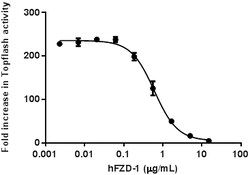 Biolegend Recombinant Human Frizzled-1-Fc Chimera (carrier-free), Quantity: