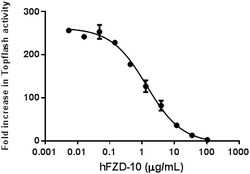 Biolegend Recombinant Human Frizzled-10-Fc Chimera (carrier-free), Quantity: