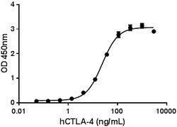 Biolegend Recombinant Human B7-2/CD86-Fc Chimera (carrier-free), Quantity: