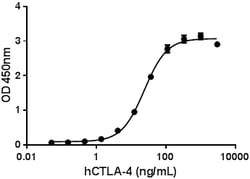 Biolegend Recombinant Human B7-2/CD86-Fc Chimera (carrier-free), Quantity: