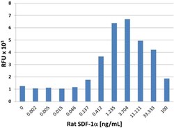 Biolegend Recombinant Rat CXCL12/SDF-1α (carrier-free), Quantity: Each