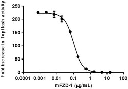 Biolegend Recombinant Mouse Frizzled-1-Fc Chimera (carrier-free), Quantity: