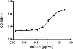 Biolegend Recombinant Mouse DLL1 (carrier-free), Quantity: Each of 1