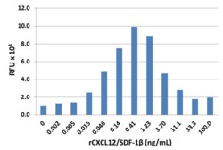 Biolegend Recombinant Rat CXCL12/SDF-1β (carrier-free), Quantity: Each