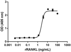 Biolegend Recombinant Rat RANKL (TRANCE, TNFSF11) (carrier-free), Quantity: