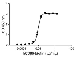 Biolegend Biotinylated Recombinant Human B7-2/CD86-Fc Chimera (carrier-free),