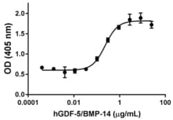 Biolegend Recombinant Human GDF-5/BMP-14 (carrier-free), Quantity: Each