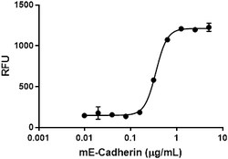 Biolegend Recombinant Mouse E-Cadherin (carrier-free), Quantity: Each of