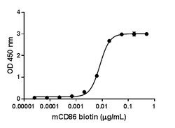 Biolegend Biotinylated Recombinant Mouse B7-2/CD86-Fc Chimera (carrier-free),