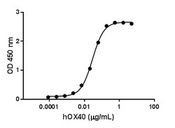 Biolegend Recombinant Human OX40/TNFRSF4-Fc Chimera (carrier-free), Quantity: