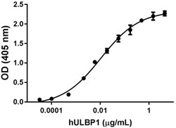 Biolegend Recombinant Human ULBP1-Fc Chimera (carrier-free), Quantity: