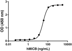 Biolegend Recombinant Human MICB-Fc Chimera (carrier-free), Quantity: Each