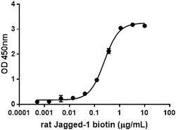 Biolegend Recombinant Human Notch-3-Fc Chimera (carrier-free), Quantity: