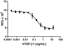 Biolegend Recombinant Human TGF-β1 (carrier-free), Quantity: Each of 1