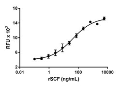 Biolegend Recombinant Rat SCF (carrier-free), Quantity: Each of 1