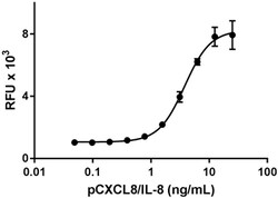 Biolegend Recombinant Porcine CXCL8/IL-8 (carrier-free), Quantity: Each