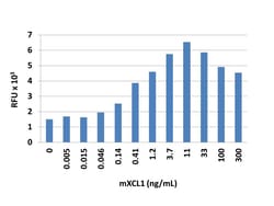 Biolegend Recombinant Mouse XCL1 (carrier-free), Quantity: Each of 1