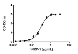 Biolegend Recombinant Human VEGF-B167 (carrier-free), Quantity: Each of