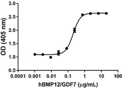 Biolegend Recombinant Human BMP12/GDF-7 (carrier-free), Quantity: Each