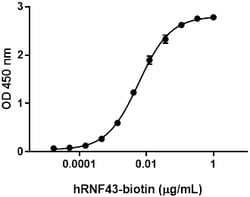 Biolegend Recombinant Human R-Spondin 2-Fc Chimera (carrier-free), Quantity: