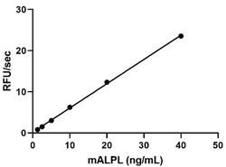 Biolegend Recombinant Mouse ALPL (carrier-free), Quantity: Each of 1
