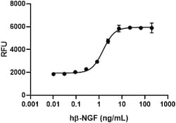 Biolegend Recombinant Human β-NGF (carrier-free), Quantity: Each of 1
