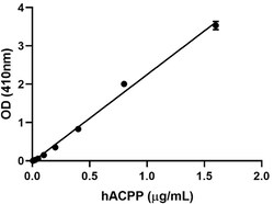 Biolegend Recombinant Human ACPP (carrier-free), Quantity: Each of 1